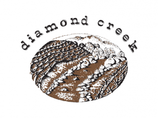 Diamond Creek