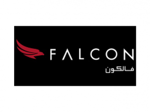 Falcon Aviation Services