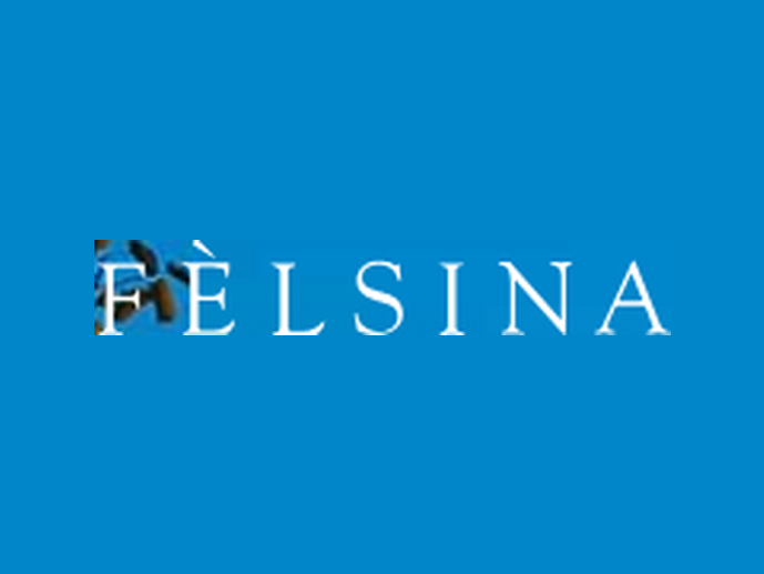 Felsina