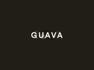 Guava Family