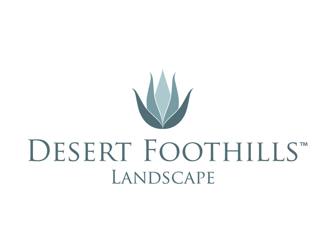 Desert Foothills Landscape
