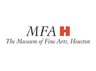 Art of the Islamic Worlds Gala (Museum of Fine Arts, Houston)