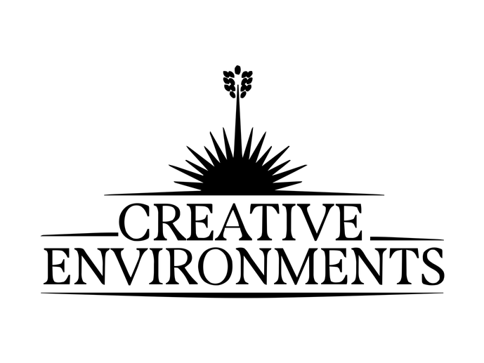 Creative Environments
