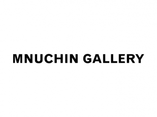 Mnuchin Gallery