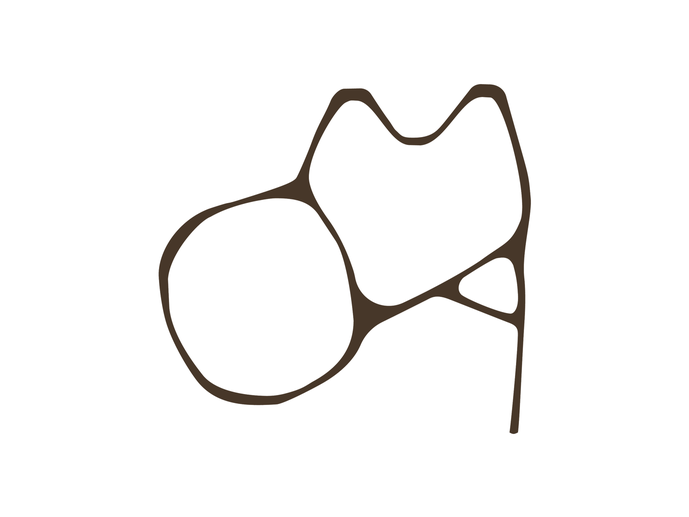 OMA