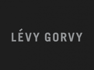 Levy Gorvy