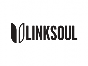 Linksoul