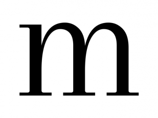 M Immobilier