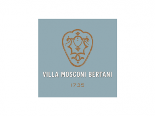 Villa Mosconi Bertani