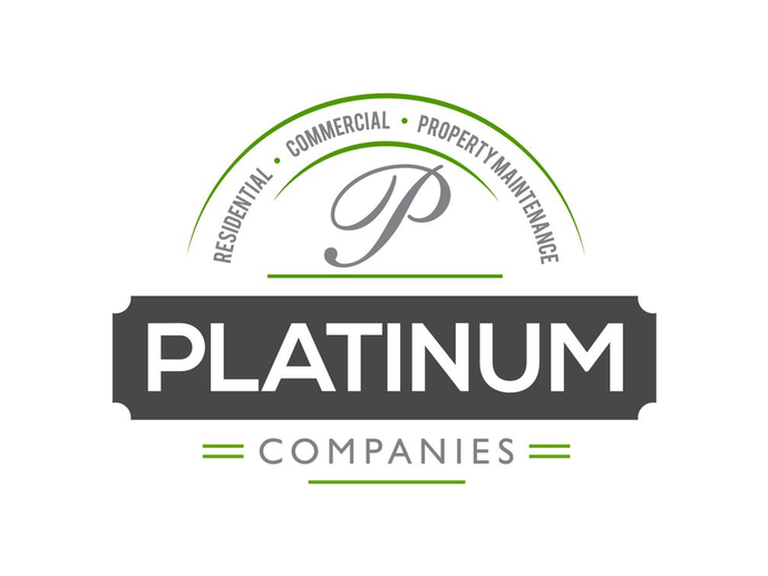 Platinum Companies, Inc.
