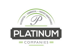 Platinum Companies, Inc.