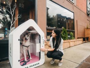 New Smart Sidewalk Dog Houses - Dog Parker to Releases New Model