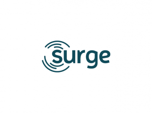 Surge Design, Dine, make a Difference Gala (A Common Thread)