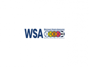 31st Annual WSA Benefit (Westcoast Sports Associates)