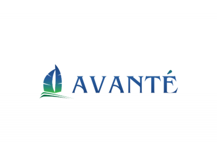 Avante Yacht Charters