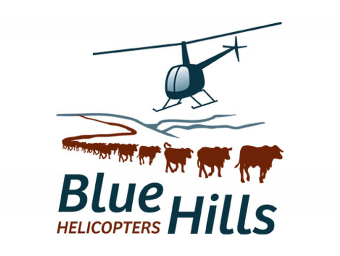Blue Hills Helicopters