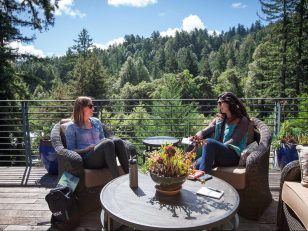 Launch of Luxury Wellness Retreats in Redwood Forest