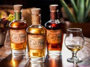 CaliFino Tequila Raises the Bar for Agave Enthusiasts