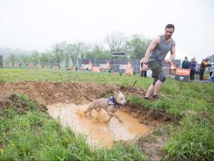 Ruff Mudder Makes Its Official Debut Thanks To Water Pik, Inc. And Tough Mudder Inc.