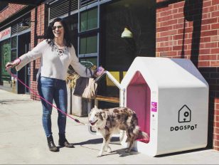 DogSpot Announces National Expansion in 2018