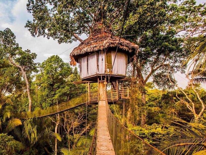 Rainforest Cruises Offers Luxury Bucket List Adventure Package