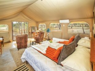 Vantage Deluxe World Travel Adds Exclusive Luxury Tented Safari Camp