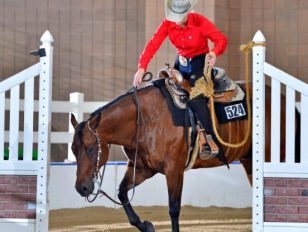 Quarter Horse Show 2019
