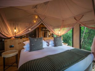 Wilderness Safaris Opens Rwanda’s First Luxury Safari Camp in Akagera