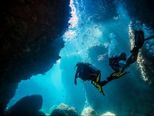 Global PADI Women's Dive Day Events Give Back to Our Blue Planet