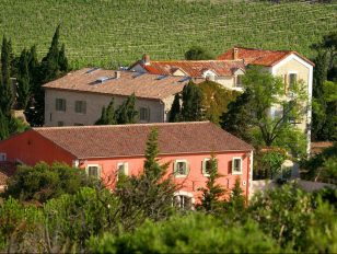 French Winemaker Gérard Bertrand Awarded Best Vineyard Experience