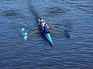 Types of Boats and Rowing Team Positions