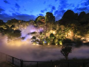 Hotel Chinzanso Tokyo: Experience The Magical "Tokyo Sea of Clouds"