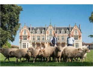 Château Cantenac Brown's Carbon-Neutral New Winery