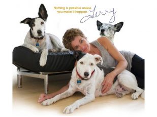 Lazin Animal Foundation's $3 Million Gift to Transform Animal Welfare