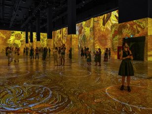 Internationally Acclaimed 'Immersive Van Gogh' Exhibit To Make Its Mark In The Heart Of Los Angeles