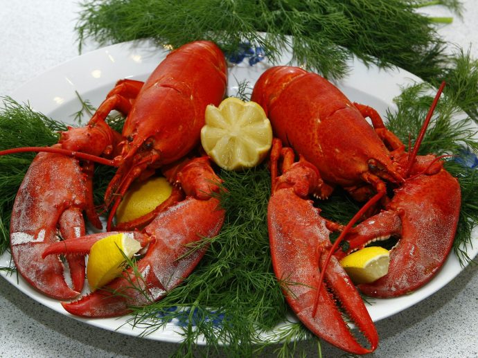 The Secrets Behind What Makes Lobster the Highlight of Any Dinner Party