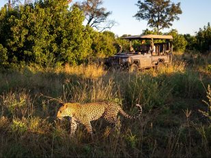 Wilderness Safaris Opens the New DumaTau