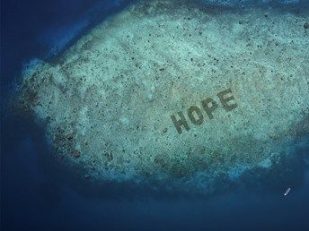 SHEBA® unveils Hope Reef: World's Largest Coral Restoration Program Announced