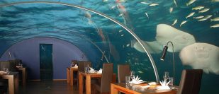 First Undersea Restaurant in the World Celebrates 10th Anniversary