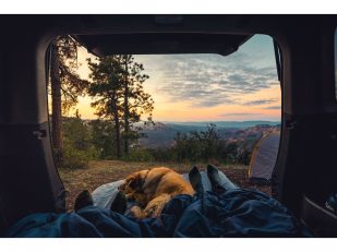 New Survey Finds Campers Prefer RVing Over Tent Camping