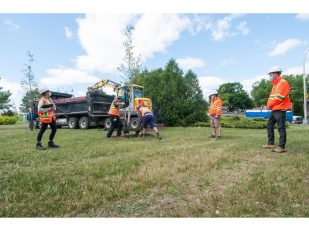 Saint-Laurent Has Planted More Than 10,000 Large Trees Since 2008!