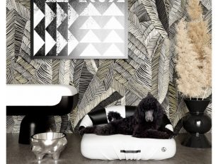 ACH4 Pet Accessories - NEW Decor Collection for Dogs and Cats