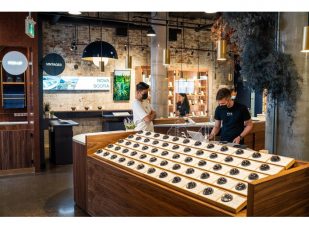 Introducing FIKA: The Lifestyle Brand Redefining Cannabis Retail