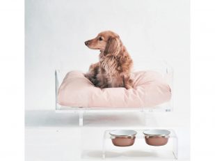 Clear Home Design Furniture Founder Launches Hiddin to Offer Luxury Pet Products