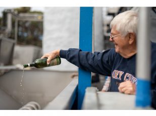 Dry Creek Vineyard Begins Historic 50th Harvest