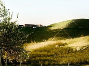 Trinchero Family Estates Adds To Luxury Portfolio With Tasca d'Almerita's Tenuta Regaleali