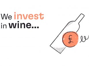 Cult Wines Launches New Investment Platform, Makes Investing in Fine Wine Accessible and Enriching