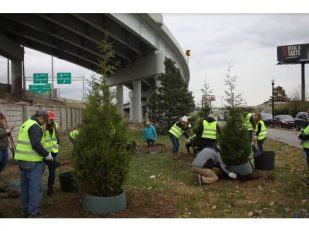 Bulleit Frontier Whiskey Announces Impact of Ongoing White Oak Tree Restoration