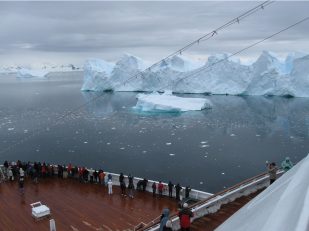 Holland America Line Explores Alaska in 2023 with a Six-Ship Complement and Cruisetours to Denali an