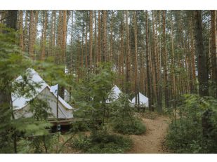 Glamping: The New Trend of Luxury Camping